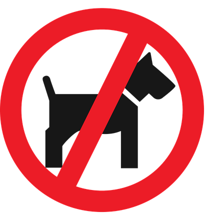 zvieratá