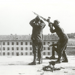 VHA 06