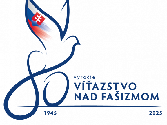 80_logo_vitazstvonf 3 _RGB