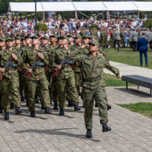 JNE_6474 2