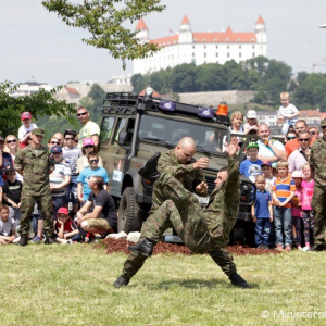 Na petržalskej strane Dunaja sa dnes strieľalo. Zásah sledovali tisícky ľudí.